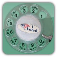 It's your civic duty to vote!